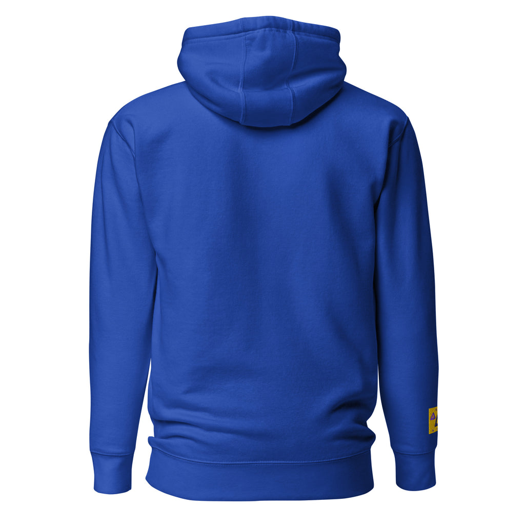 Unisex streetwear pullover hoodie in team royal blue, back view